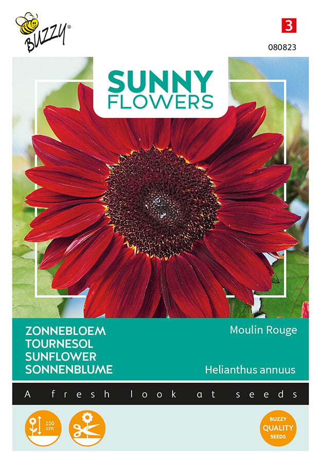 Buzzy Seeds Sonnenblume Moulin Rouge