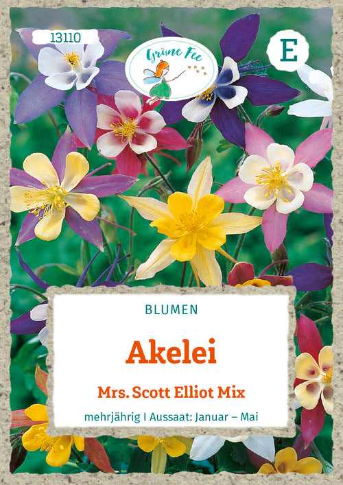 Bunte Akelei Blüten, Mrs. Scott Elliot Mix, mehrjährige Blumensamen für Garten.