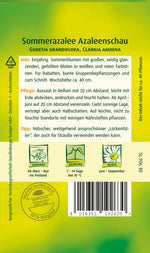 Quedlinburger Sommerazalee Godetia Azaleenschau
